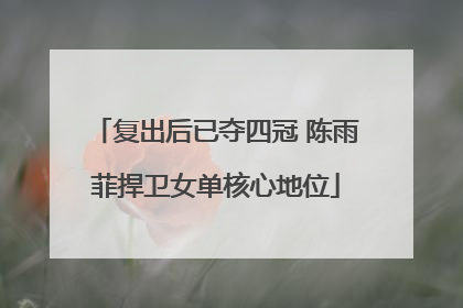 复出后已夺四冠 陈雨菲捍卫女单核心地位